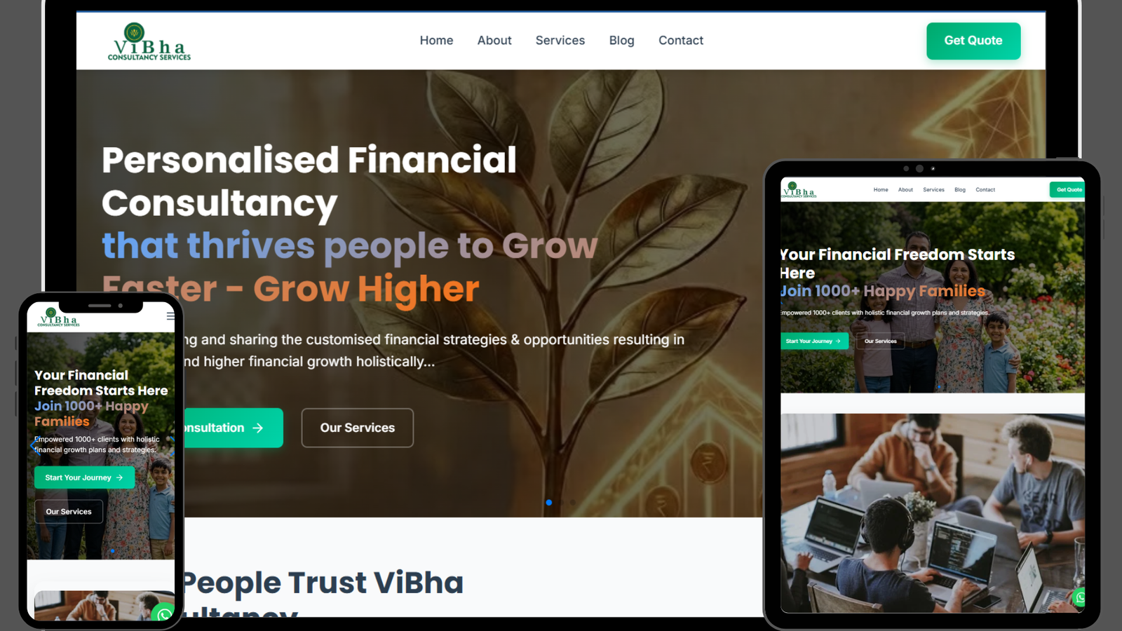 VFCS Consultancy preview